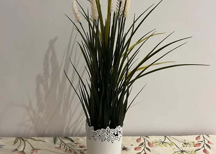 Apartamento Il Vicoletto