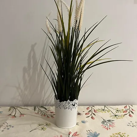 Apartament Il Vicoletto